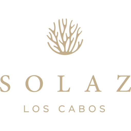 The Club At Solaz